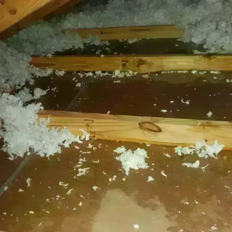 Attic Water Damage in Tiffin, IA