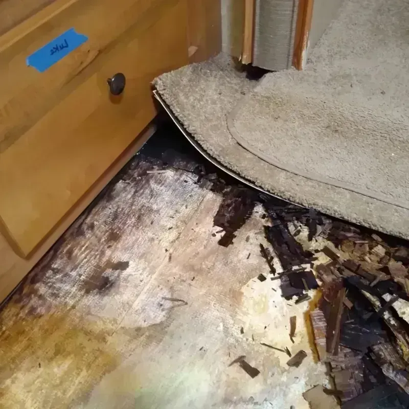 Wood Floor Water Damage in Tiffin, IA